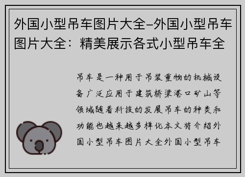 外国小型吊车图片大全-外国小型吊车图片大全：精美展示各式小型吊车全貌