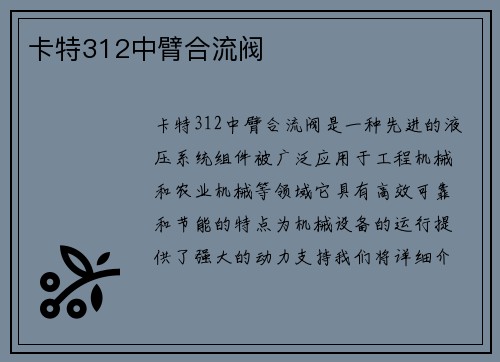 卡特312中臂合流阀